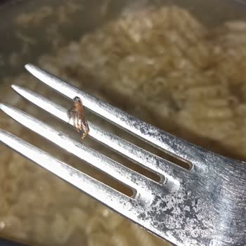 indomie Noddle'dan Böcek Çıktı