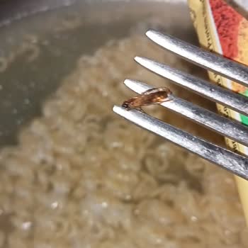 indomie Noddle'dan Böcek Çıktı