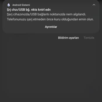 Samsung Note 10 Plus'ta Nem Algılandı