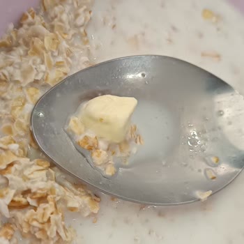 Muscle Balance Nutrition Muscle Balance Protein Tozu İçinden Alçı Benzeri Bir Şey