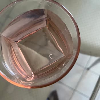 Pürsu Sudan Kurt (parazit) Çıktı