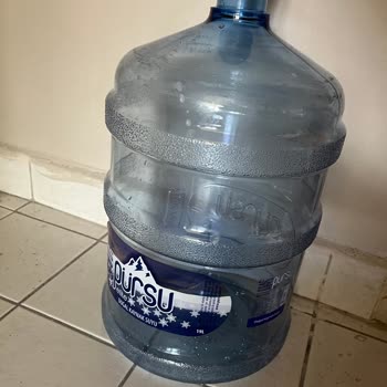 Pürsu Sudan Kurt (parazit) Çıktı