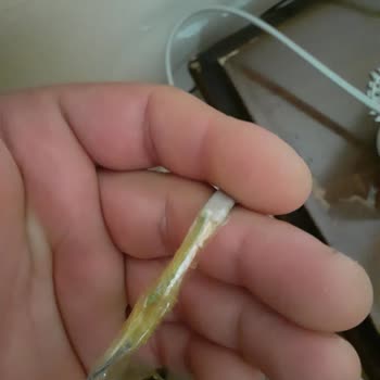 Vodafone Net Bağlantı Problemi