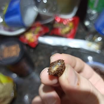 Nesquik Ürününden Kurt Çıktı