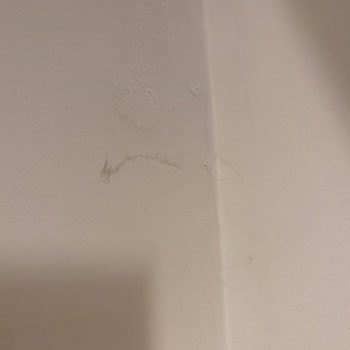 Smart Holiday Hotel Hijyen Problemleri Var