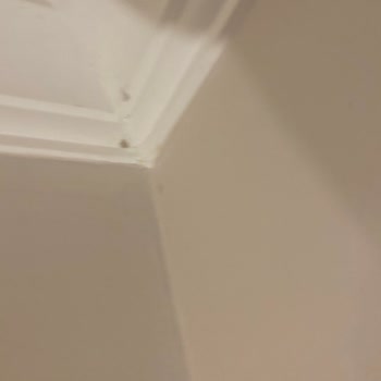 Smart Holiday Hotel Hijyen Problemleri Var