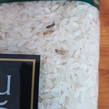 Anadolu Mutfağı Pirinç Böcek Dolu Açılmamış Ambalajında