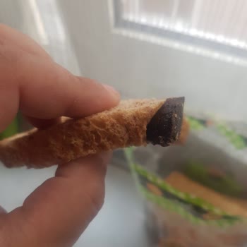 UNO Poşetli Ekmeğin İçinden Yabancı Madde Çıktı