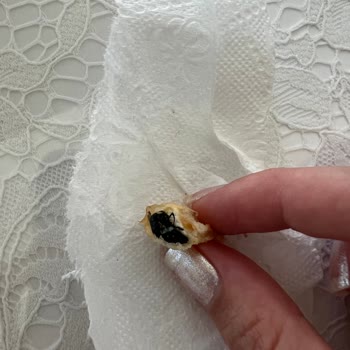 Başak Gıda Pazarlama Unlüx Gurme Hamburger Ekmeğinden Sinek Çıktı