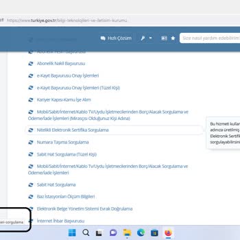 E-güven Ve Yasadışı Eylemleri