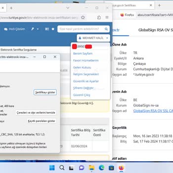 E-güven Ve Yasadışı Eylemleri
