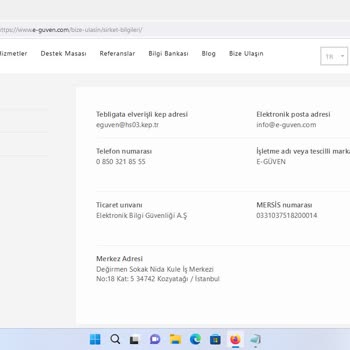 E-güven Ve Yasadışı Eylemleri