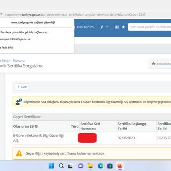 E-güven Ve Yasadışı Eylemleri