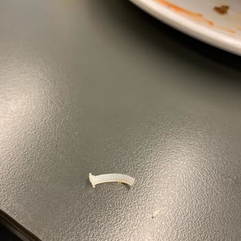 Köfteci Yusuf Yemek Salata İçinden Klips Çıktı