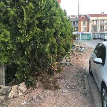 Balıkesir Büyükşehir Belediyesi Kaldırım Taşlarının Düzeltilmemesi