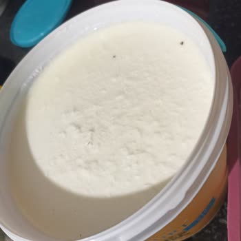 A101 Aldığım Yiyecekten Pis Şeyler Çıktı