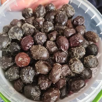 İzmir Büyükşehir Belediyesi Tarihi Geçmiş Ürün Ve Eksik Ürün Gönderilmiştir.