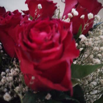 Çiçek Sepeti 'nden Aldığım Çiçekler Solmuş Bir Şekilde Geldi