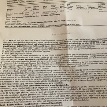 Pegasus Uçağa 1 Saat Olmasına Rağmen Uçağa Almadılar