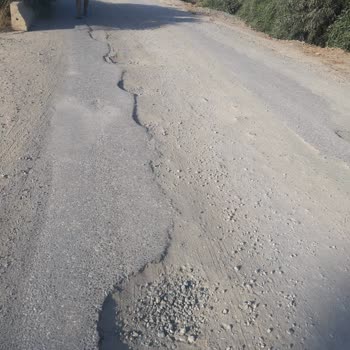 Seferihisar Belediyesi Yaşıyor Musun?