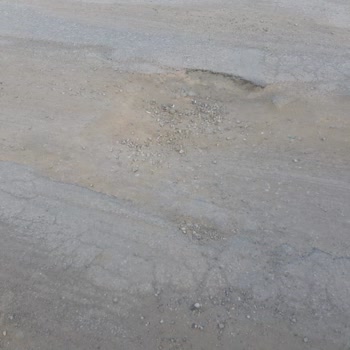 Seferihisar Belediyesi Yaşıyor Musun?