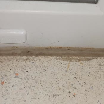 Pimapen Kalitesi Ve İşçiliği