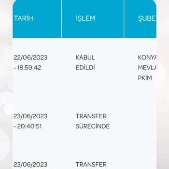 PTT Kargo Kargom Nerede. At Arabası Getirse Teslim Almıştım.