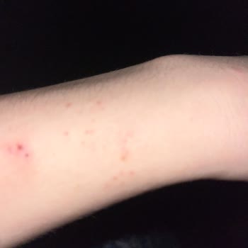 La Victorias Accessoire Sahte Ürün