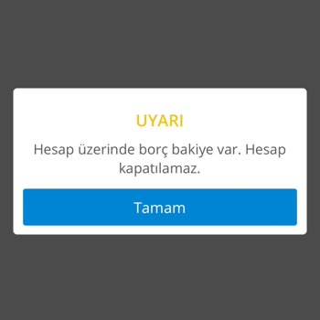 Denizbank Olmayan Borç Bakiyesi
