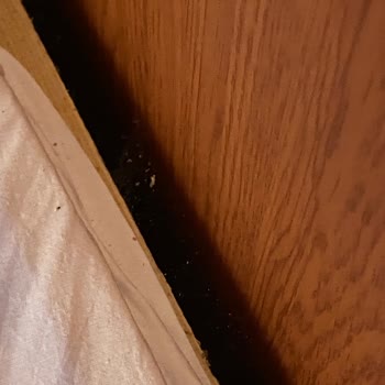 Günaydın Beach Ve Bungalows Hijyensiz Ortam Temizlik Olmaması