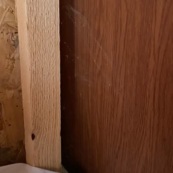 Günaydın Beach Ve Bungalows Hijyensiz Ortam Temizlik Olmaması