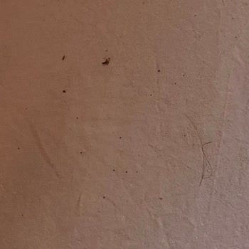 Günaydın Beach Ve Bungalows Hijyensiz Ortam Temizlik Olmaması