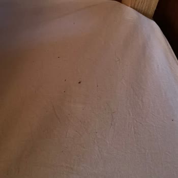 Günaydın Beach Ve Bungalows Hijyensiz Ortam Temizlik Olmaması