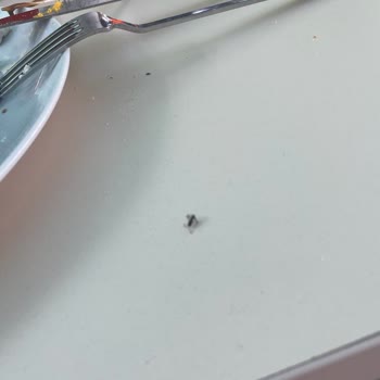 ETS Tur Balıkesir Oteli Rezervasyonu Şikayeti