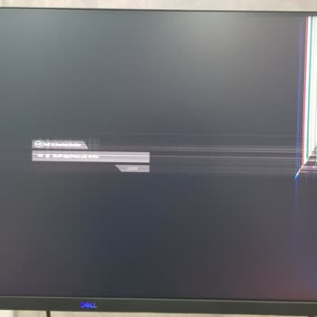 Dell G3323D Monitör Panel Hatası