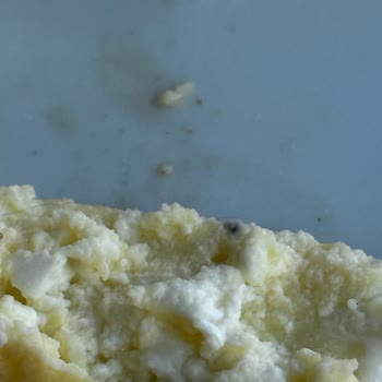 Simit Sarayı Hijyensiz Pis Fiyat Yüksek