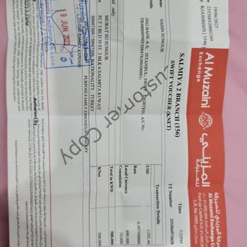 ING Yurt Dışından Döviz Transferi