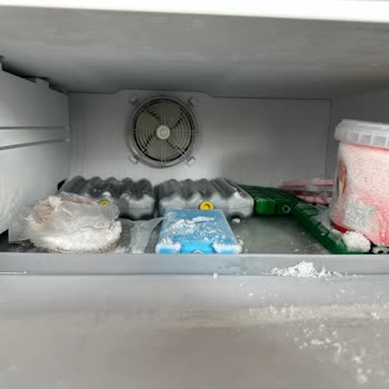 Beko Refrigerator Repeated Issues and Lack of Documentation