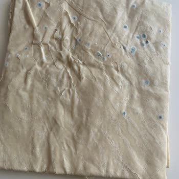 A101 Kapıda Küflü Nimet Yufka Getirdi Ve İadesine Ret Verdi!