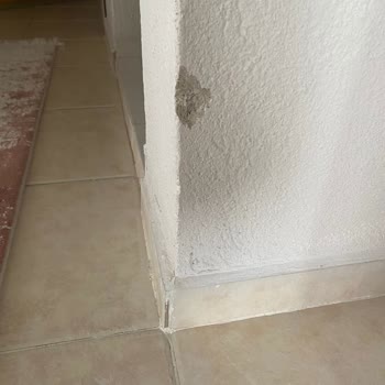 Arataş Nakliyat Neden Olduğu Hasarları Karşılamadı