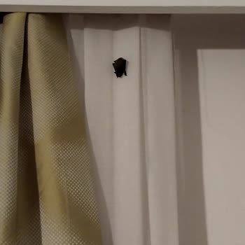 Afytos Akçay Tatil Köyü Sıfır Hizmet Sıfır Hijyen Sıfır Sağlık