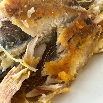 Focus Tours 12 Ada Turu İade Yapmadılar