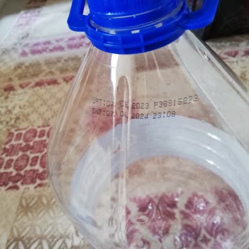 Ceysu Kötü Koku Ve Tat Sorunu