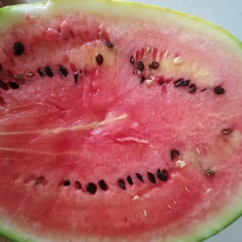 Şok Marketler Şok Marketten Aldığım Karpuzun Karpuz Olmaması
