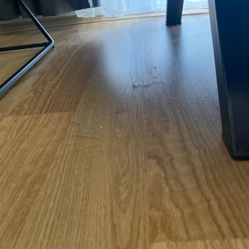 Ece Temizlik Güya Temizlik Şirketi