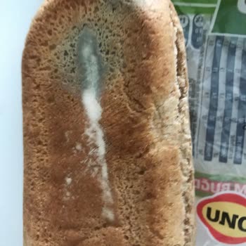 Uno Ekmek Marka Ekmek Küflü Çıktı.