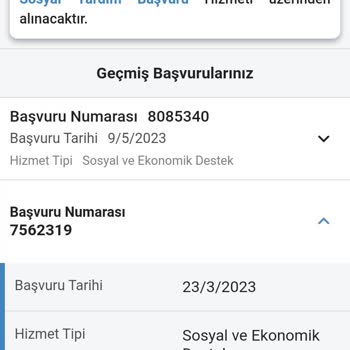 E-Devlet (Turkiye.gov.tr) Sosyal Yardım