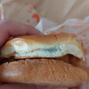 Popeyes Ürünüm Küflü Çıktı