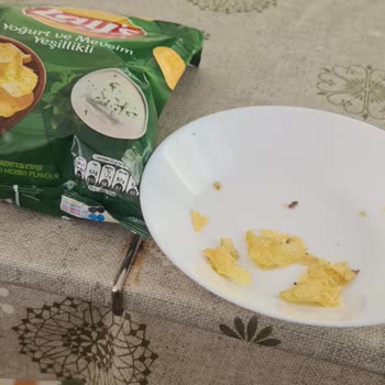 Böcek Çıktı Lays Gibi Bir Firmanın Cipsinden