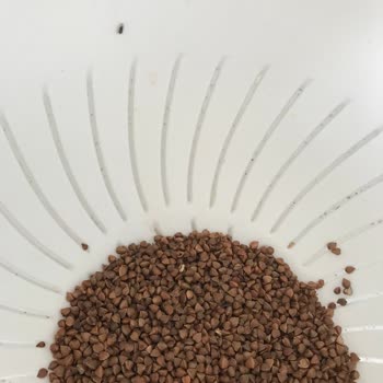 Mopaş Hipermarket Karabuğday İçerisi Böcek Dolu Mopaş Market İade!